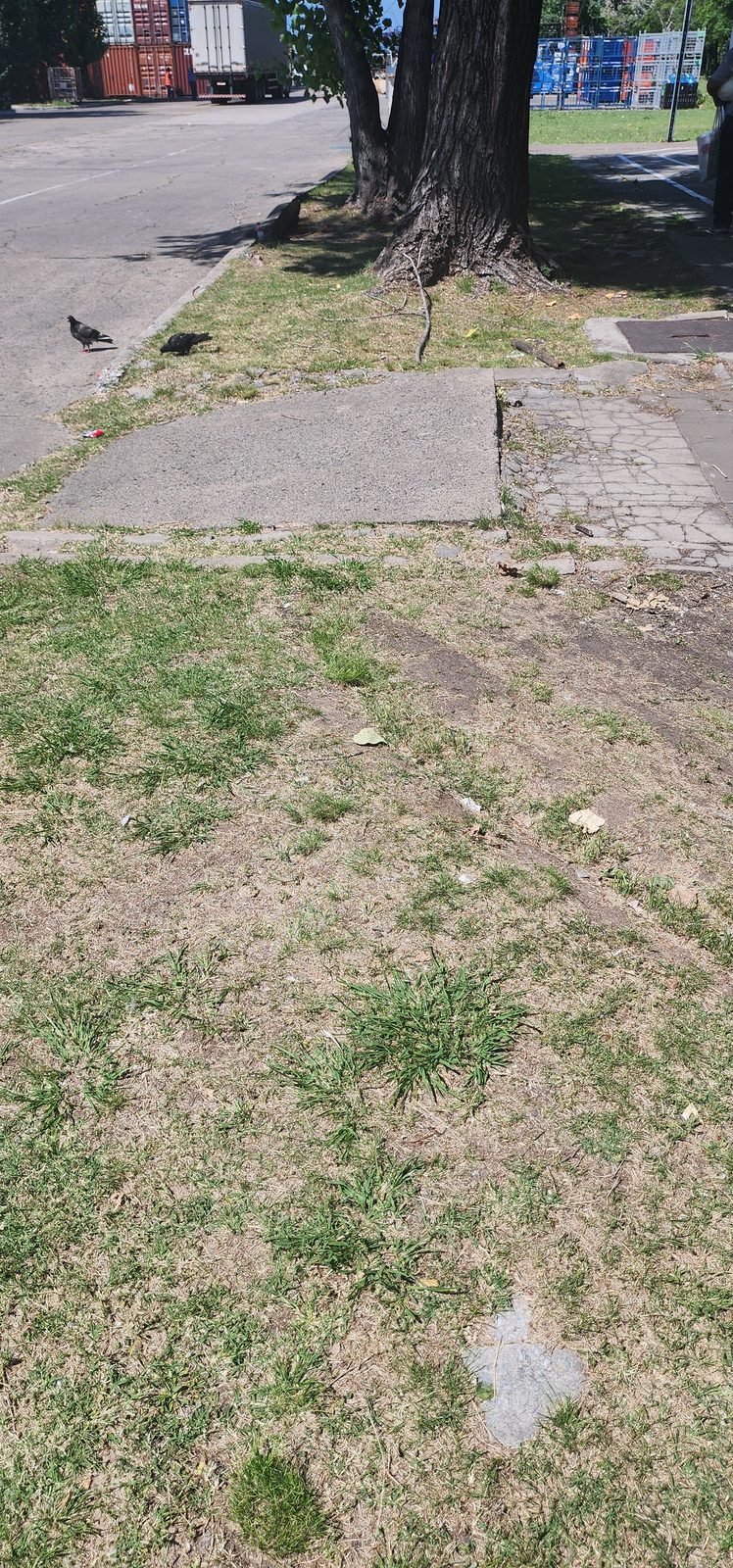 Situacion existente — situación existente